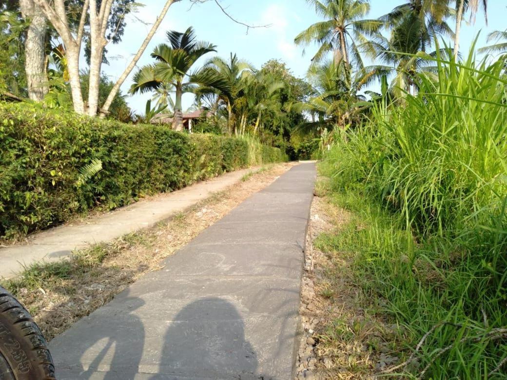 Balian Bliss Retreat Resort - Adults Only Dış mekan fotoğraf